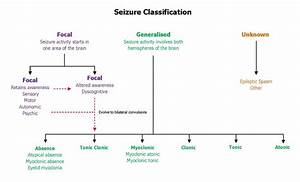 Eaa Seizure Classification Chart Epilepsy Action Epilepsy Seizure