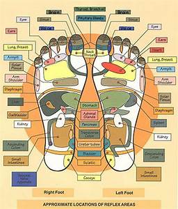 Color Chart Of Foot Reflexology Health Info Health And Wellness