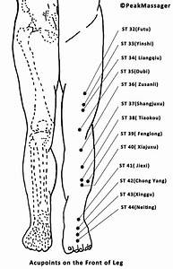 Leg Acupressure Points 50 Pressure Points In Leg Peakmassager