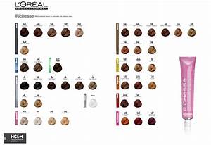 Loreal Hair Color Chart Hair Color Chart Loreal Hair Color Important