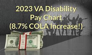 Military Disability Pay Chart 2024