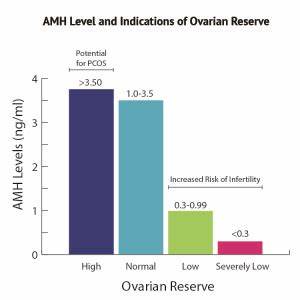 Amh Level And Your Ovarian Reserve Shady Grove Fertility
