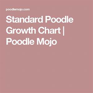 Standard Poodle Growth Chart Poodle Mojo Standard Poodle Poodle