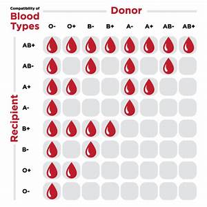 Blood Type Compatibility Chart R Coolguides