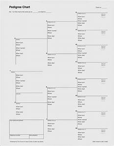 Abby 39 S Cousin Connection Tips 1 The Pedigree Chart Wikitree Blog