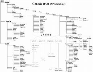 Bible Genealoy From Adam Family Tree Porie 39 S Picks Bible Family