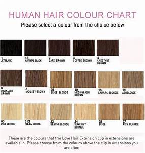 human hair color chart zimbio comhair color chart braune haare