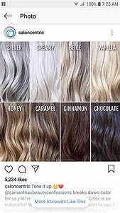 ashy hair color chart brandee holder