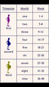 Calendario Del Embarazo Consejos Para El Embarazo Embarazo