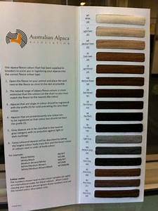 This Is The Australian Alpaca Color Chart What Is The Color Chart In
