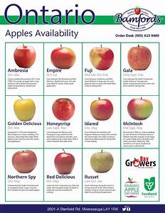 Ontario Apples Availability Chart By Bamford Produce Issuu