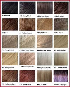 What You Should Wear To Shades Of Hair Color Chart Hair