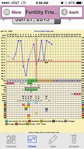 Charting With Pcos The Bump