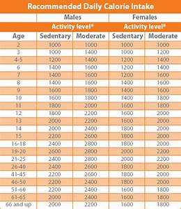 Food Calorie Chart Template Business