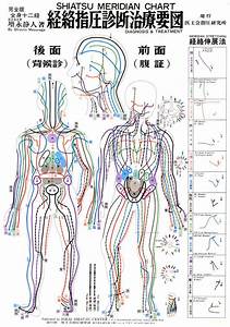 Meridian Chart Shiatsu Pinterest