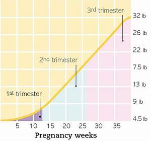 Baby Weight Gain In Third Trimester Chart Chart Walls