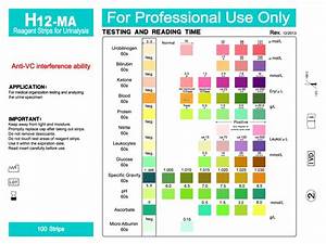Urs 12ma 12 Parameters Urine Reagent Test Strips Henso Medical