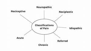 Classifying Introduction To Health Assessment For The Nursing