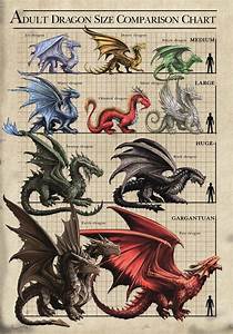 Dragon Size Chart Card 13 X 18cm By Anne Stokes From Quot Age Of Dragons