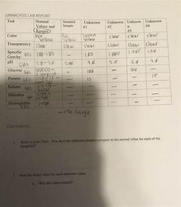 Solved Standard Sample Unknown 1 Urinalysis Lab Report Test Chegg Com