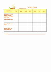 Rabbit Care Chart Template Printable Pdf Download