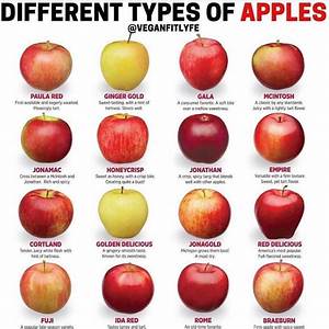 So Many Kinds Of Apples Which Are Your Tops Choices Follow