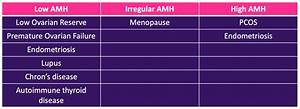 understanding amh test enhanced fertility