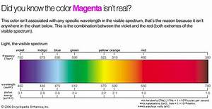 The Color Magenta Doesn 39 T Really Exist Visible Spectrum Chart Bar
