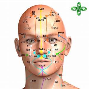 Point Of The Face To Releasethewrinkles Acupuncture Points Chart