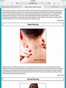 Different Types Of Body Piercings You Can Get Musely