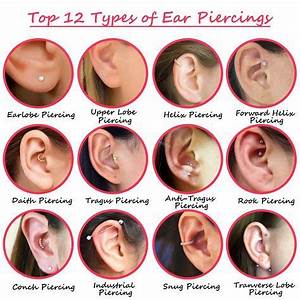 ear piercings chart ear peircings types of ear piercings pretty ear