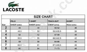 Lacoste Size Chart Printable Pdf Download