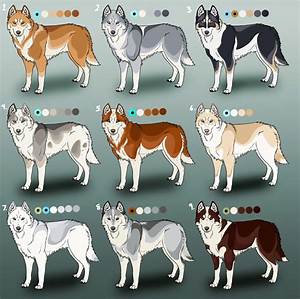 Husky Mix Le Husky Alaskan Husky Siberian Husky Dog Siberian Husky