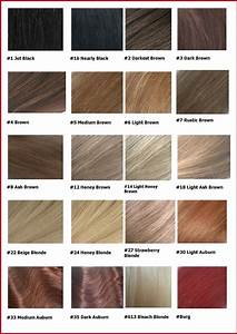 Dark Ash Brown Hair Color Chart