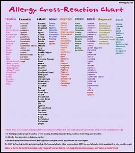 Allergy Cross Reaction Chart Food Allergies 92 92 Pinterest