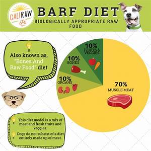 Raw Dog Food For Beginners We Feed Raw So Can You