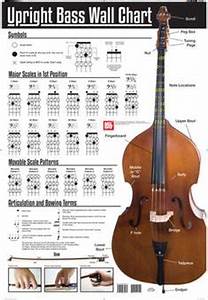 f major scale upright double bass fingerboard notes chart bass guitar