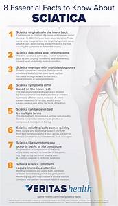 Types Of Sciatic Nerve 