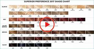 l oreal superior preference hair color chart 233500 l oreal preference