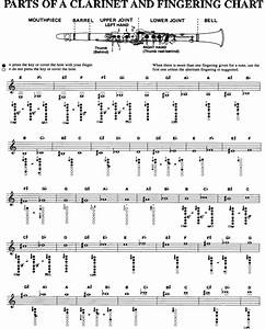 Download Parts Of A Clarinet And Chart For Free Formtemplate