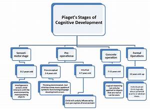 Jean Piaget Stages Cognitive Development Jean Piaget Piaget Stages Of