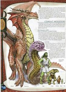 Size Chart Dungeons And Dragons D D Dnd Dragons