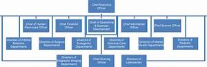 1 Typical Organizational Chart For A Hospital Download Scientific Diagram