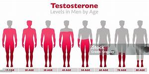 Testosterone Levels Testosterone Rates In The Body Of Men With Age High