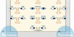 Clinical Hints For Your Approach For Examining Ocular Motility Meduweb