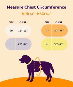 Fit Guide And Sizing Chart Ortho Dog