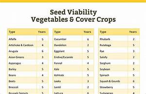 how long do seeds last complete viability guide free chart