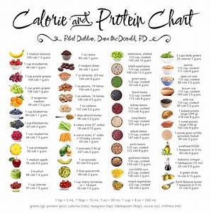 Calorie And Protein Chart 18 Quot X28 Quot 45cm 70cm Poster
