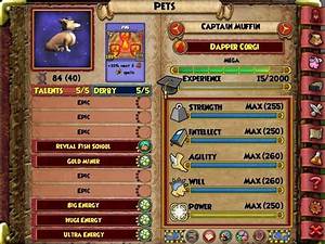 Pets Wiki Wizard101 Amino