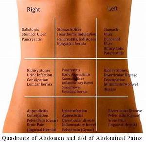 17 Best Images About Referred Abdominal Quadrants On Pinterest